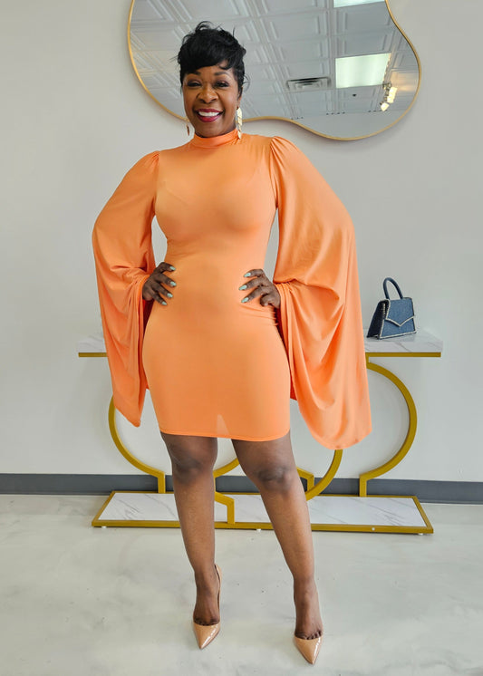 Karri Flare Sleeves Dress
