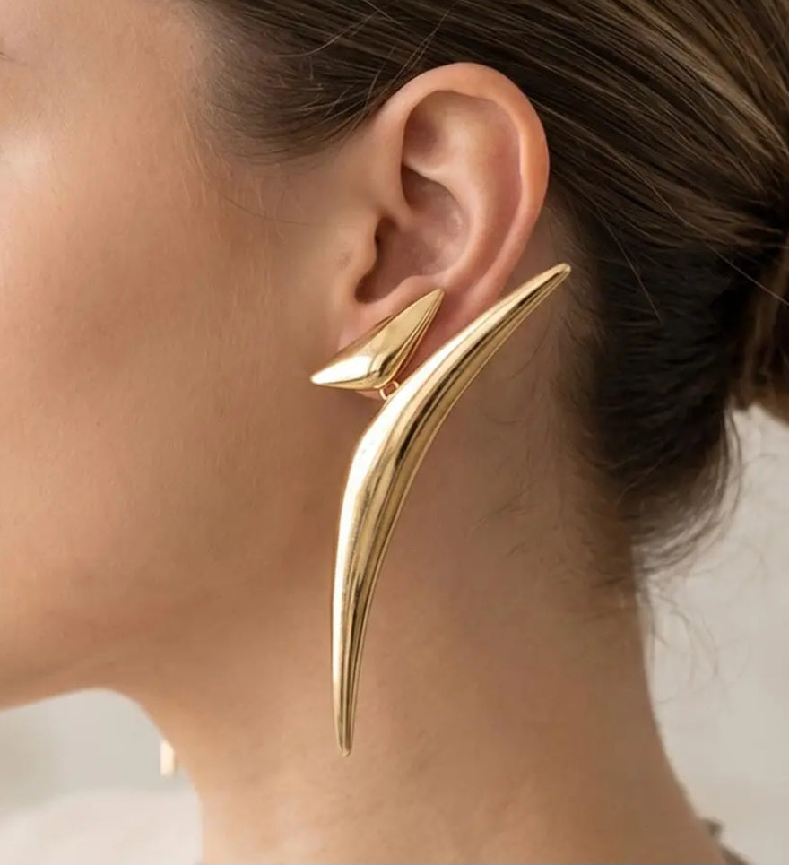 Stylish Earrings