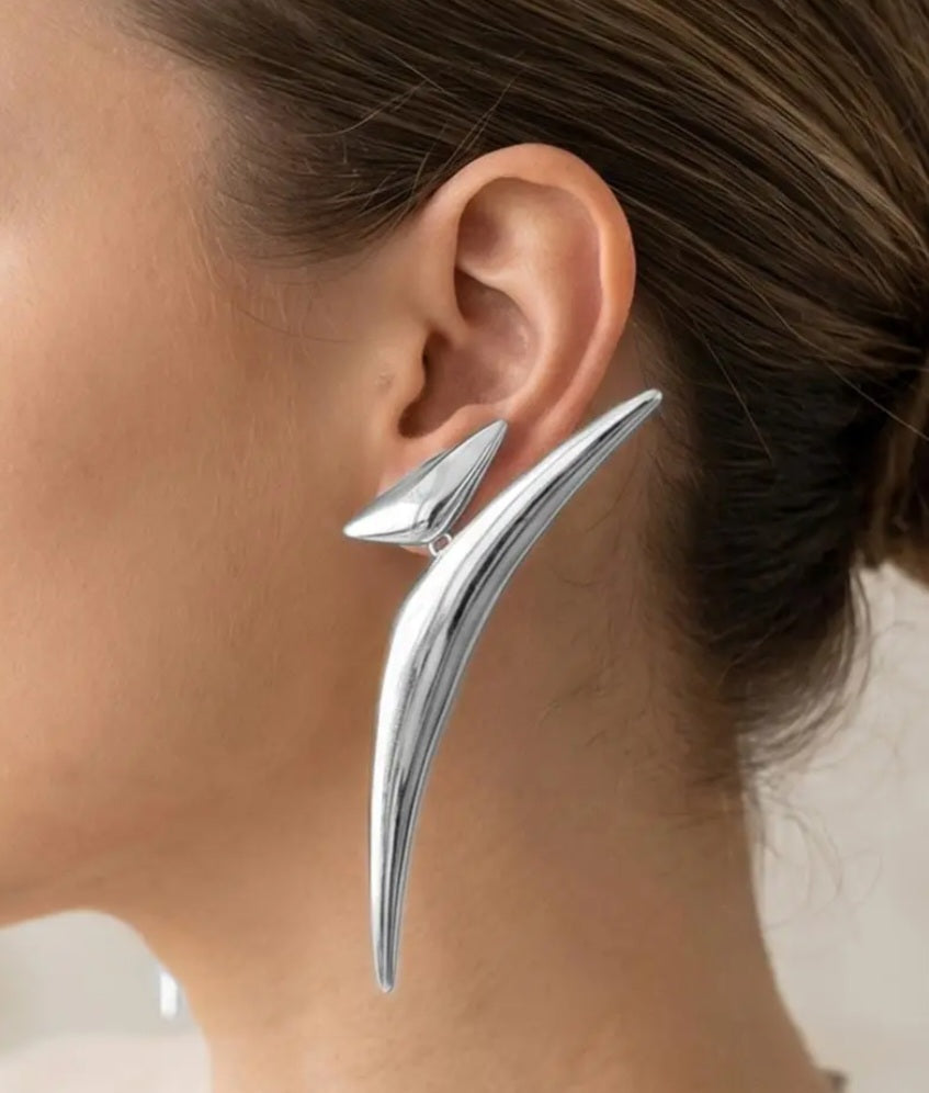 Stylish Earrings